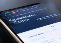 vivo 应用中心官网是什么？