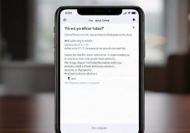 苹果手机怎么设置才能只用4G不用5G？