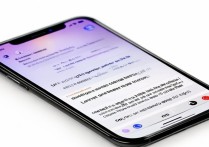 苹果手机怎么找人定位？开启查找功能就能实时定位吗？
