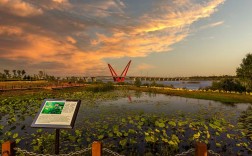 淠河水利风景区