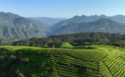 鹤山茶山风景区