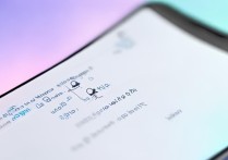 VIVO Xplay6怎么看内存大小？内存占用情况在哪查？