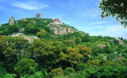 涉县黄花山自然风景区