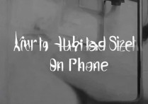 苹果手机调字的大小怎么调整？苹果手机字体大小设置方法