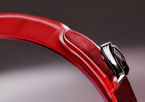 红米Redmi Watch2表带怎么选？兼容哪些型号？