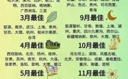 当季旅游攻略，如何规划最佳旅行体验？