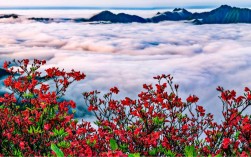 阳明山风景区