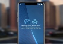 vivo手机为何有两个解锁方式？各自用途是什么？