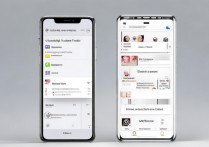 苹果手机备份魅族手机通讯录怎么删除吗，苹果手机备份魅族手机通讯录怎么删除