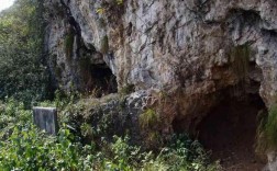 野猫洞风景区