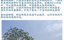 安山湿地公园旅游攻略，如何规划一次完美的游览体验？