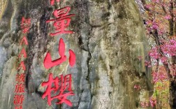 无量山旅游攻略，如何规划一次完美的旅行体验？