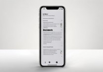 苹果手机字文件怎么打开？方法步骤详解！