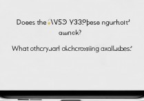 vivo Y53s t2版指纹解锁吗？还有哪些解锁方法？