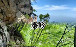 秦岭丰裕口旅游攻略，如何规划一次完美的旅行体验？