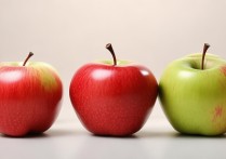 苹果全景照片怎么拍才清晰？全景拍摄技巧有哪些？