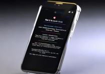 vivo手机怎么退出安全模式