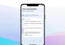 vivoy13l怎么用移动数据？新手必看设置步骤