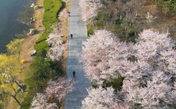 浞河风景区