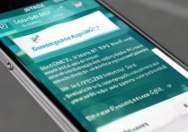 苹果 5s 怎么上网页？苹果 5s 打不开网页怎么办？