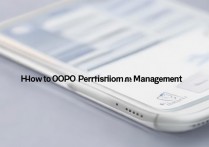 怎么打开oppo权限管理？OPPO手机权限设置在哪里找