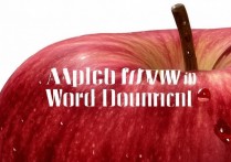 苹果怎么看word文档？iPhone免费打开Word的方法