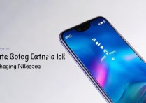 荣耀畅玩20 4G版续航强吗？支持快充吗？