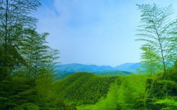 杭州竹海风景区一日游