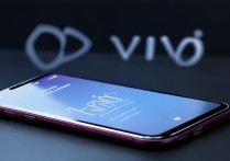 vivo免费wifi