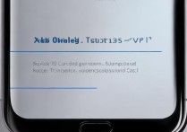 Vivo X70屏幕是直屏还是曲屏？参数与选购建议解析