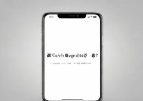 小米Civi 1S支持红外遥控功能吗？