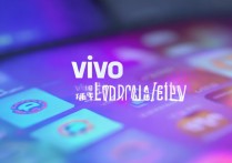 vivo官网应用商店