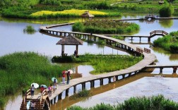 郑州黄河湿地风景区