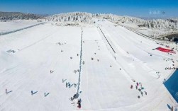 仙女山滑雪旅游攻略，如何尽享冬日乐趣？