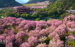 奇香园风景区