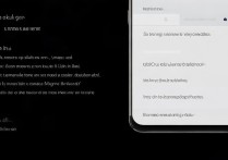 oppo手机屏幕怎么反转？设置方法是什么？