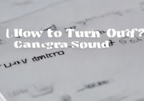 华为手机拍照声音怎么关闭？