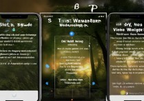 苹果动态视频壁纸怎么设置方法？iPhone实况壁纸设置教程
