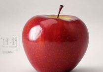 苹果上怎么修图？苹果手机修图教程新手入门