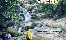 海南鹦哥岭旅游攻略，如何规划一次完美的旅行体验？