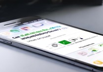 微信上能办所有出入境业务吗？国家移民局小程序操作指南