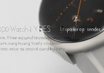 oppowatch2有扬声器吗？作用是什么？