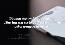 vivo手机如何设置双锁屏密码？