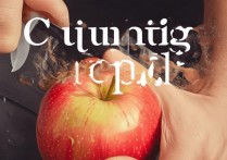 切苹果用英语怎么说？切苹果的英文单词是什么