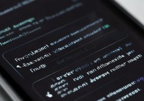 vivo 怎么打开高级设置？vivo 手机高级设置在哪里找？