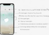 苹果手机屏幕拍照怎么操作？详细步骤教你轻松实现。