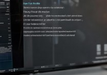 vivos1刷机详细步骤，怎么刷？按键怎么按？