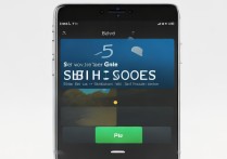 苹果7怎么设置飞行模式？详细步骤是什么？