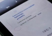 vivo手机root后如何查看或设置权限密码？