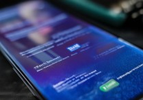 小米11 Pro屏幕参数真实表现如何？